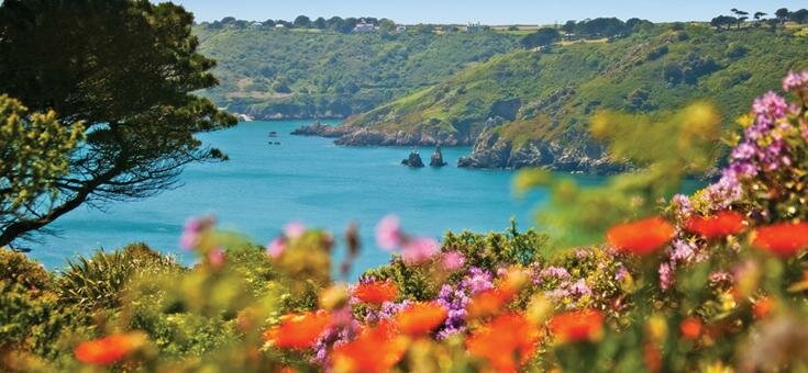 Guernsey bay with flowers