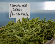Bowl of Guernsey samphire grass