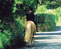 horse-riding-green-lanes